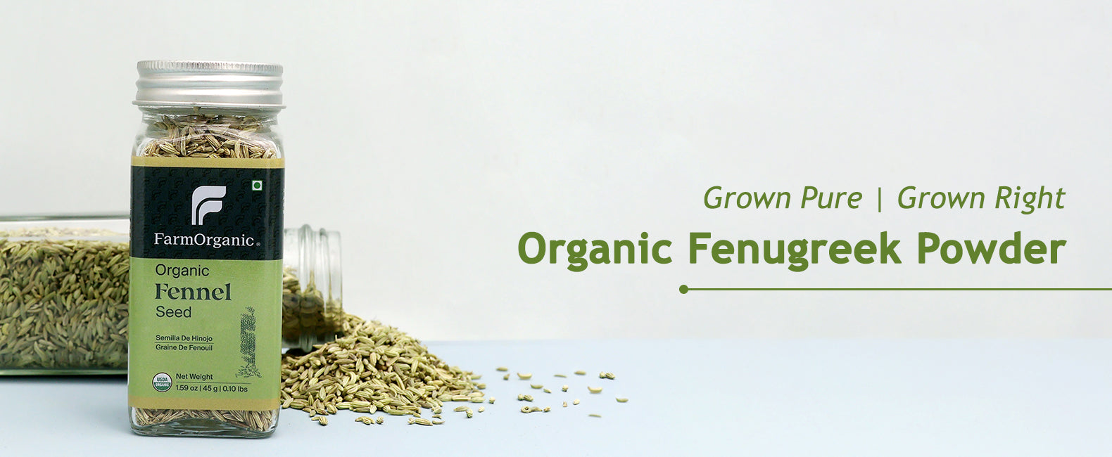 Organic Fennel Seed Banner