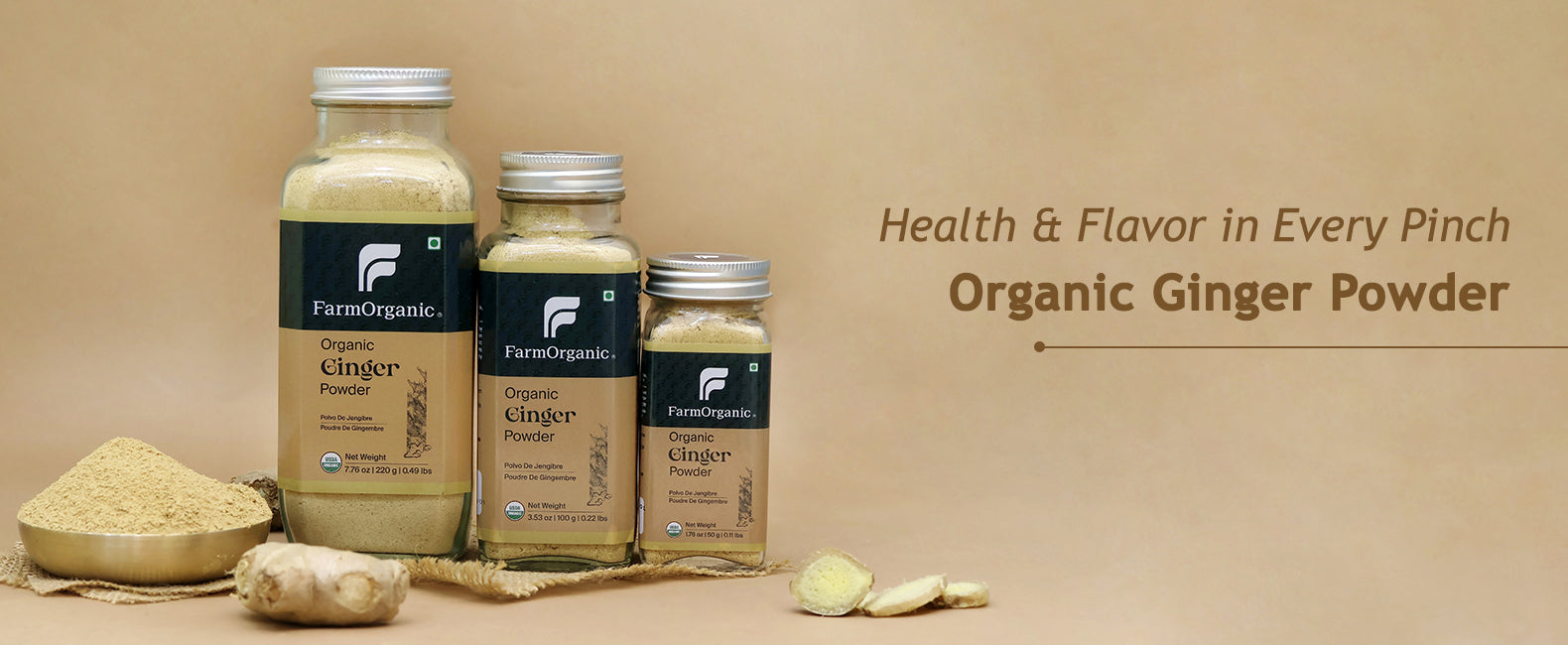 Organic Ginger Powder Banner