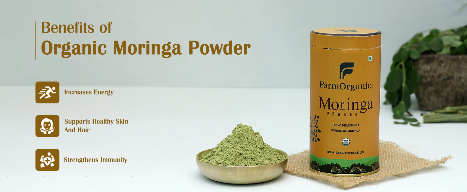 Organic Moringa Powder Banner